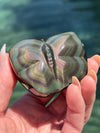 Butterfly Rainbow Obsidian Carving