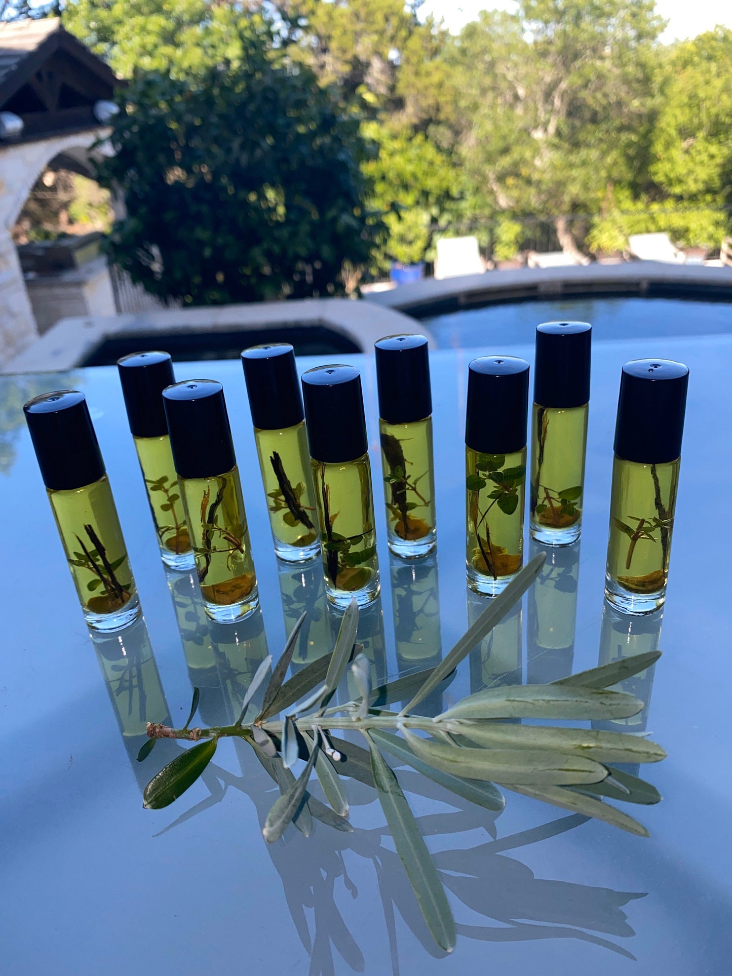 Bug Off Natural Repellant Herb Bark Citrus Infused 100% Essential Oil 10 ml