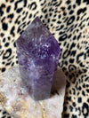 Phantom Amethyst Crystal Natural Point Museum Quality Rainbows