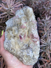 Pink Tourmaline in Quartz Mica Matrix 2.6 lbs