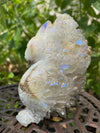 Large Aura Quartz Agate Owl Natural Points 507.8 G