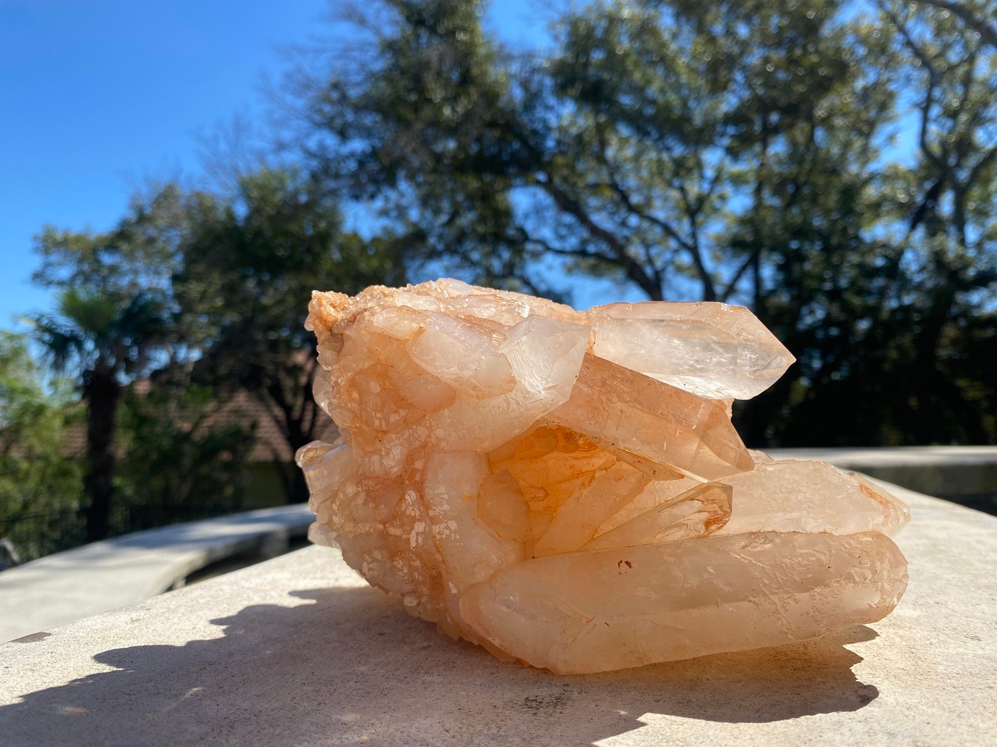 Lemurian Pink Quartz XL Double Terminated Cluster 6.5 lb