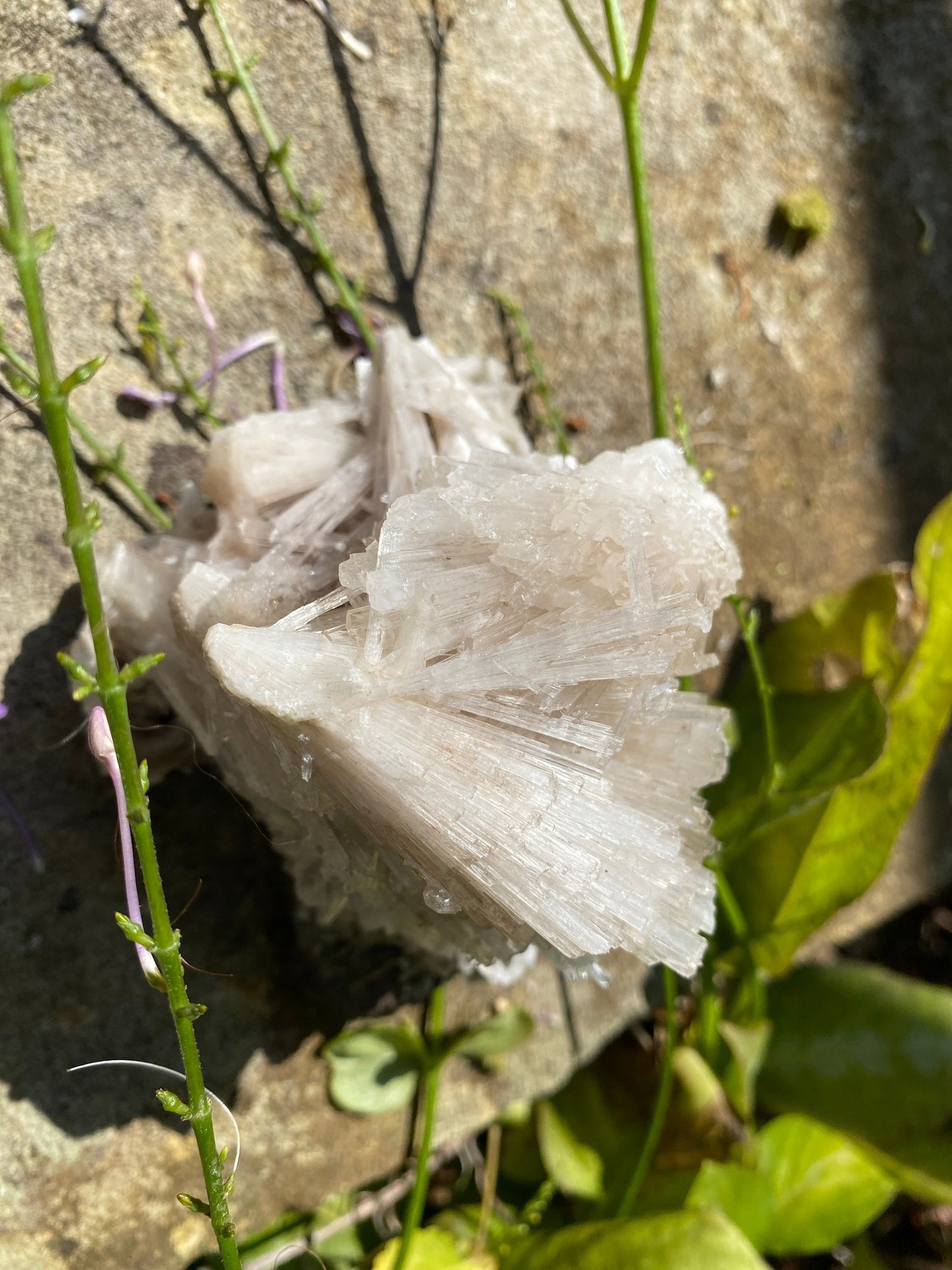 Scolecite Specimen Lavender Undertone 438 G